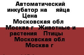 Автоматический инкубатор на 24 яйца › Цена ­ 3 500 - Московская обл., Москва г. Животные и растения » Птицы   . Московская обл.,Москва г.